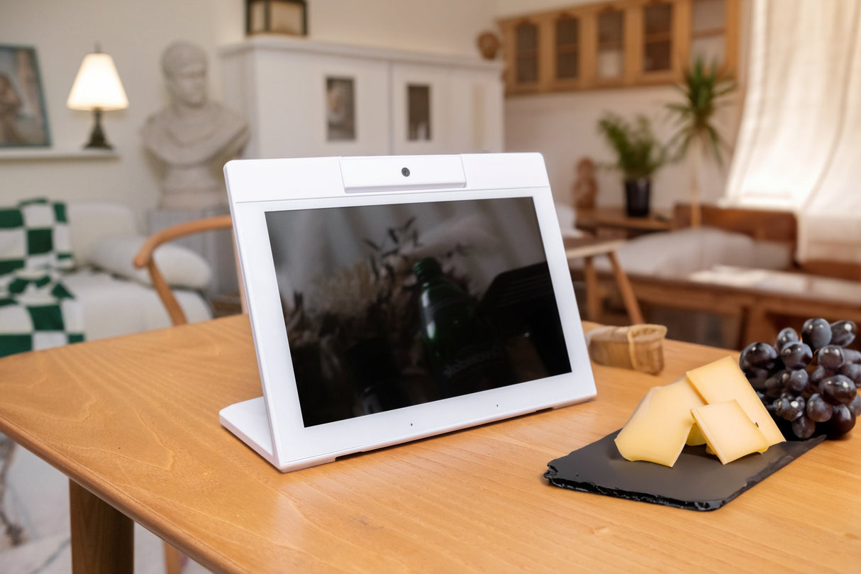 CareWindow Videophone Unit