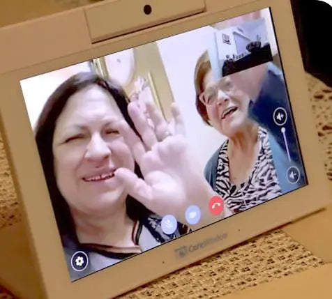 CareWindow Videophone Unit