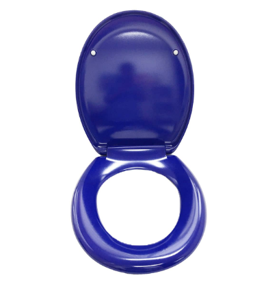 BetterLiving Cognitive Assistance Toilet Seat - Australian Assistive Technology Centre