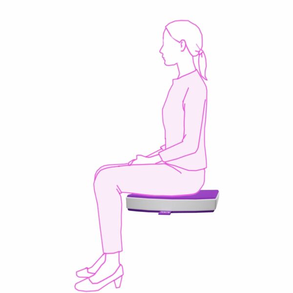 ICare Seat Cushions