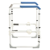 Toilet surround white and blue
