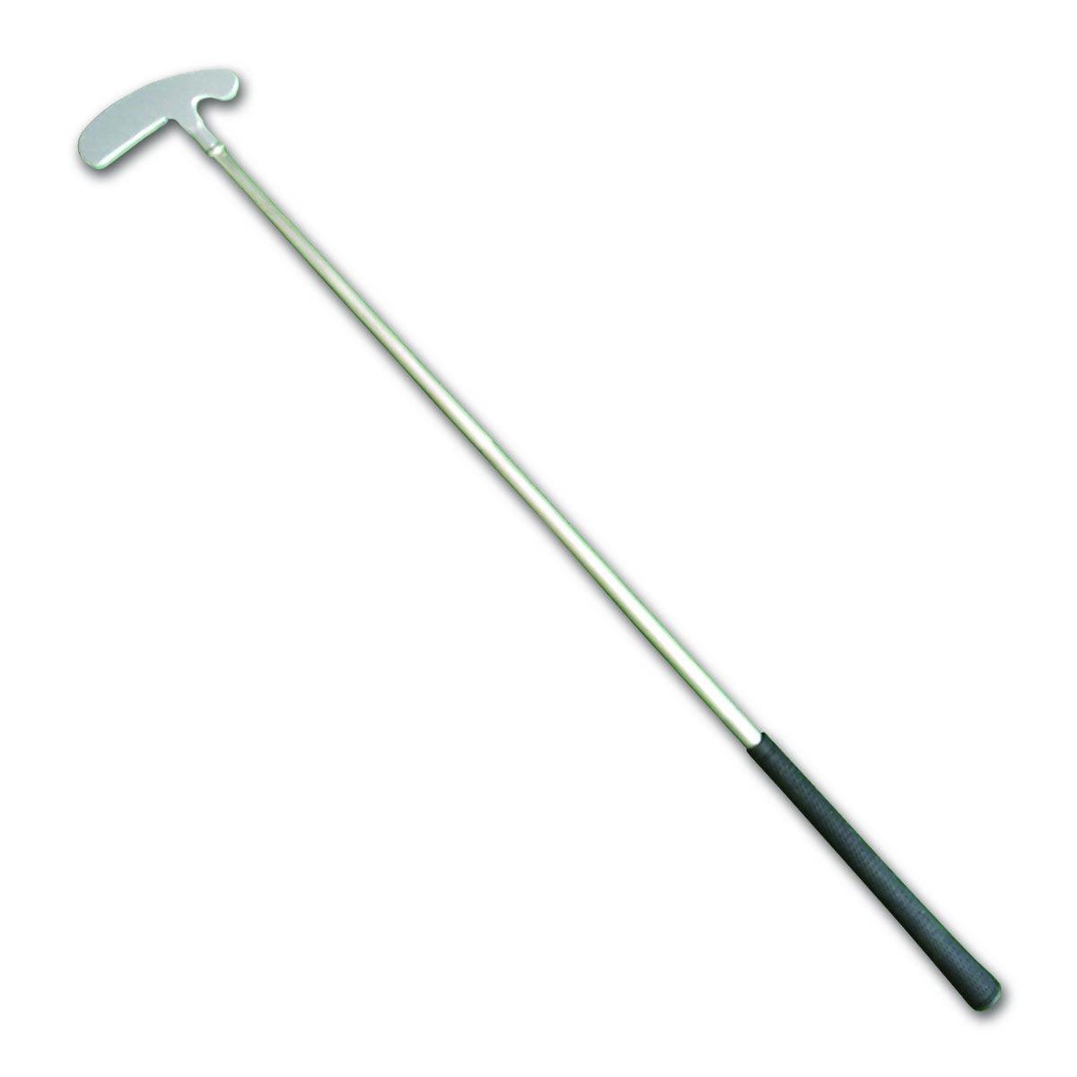 BetterLiving Golf Game - Australian Assistive Technology Centre