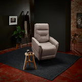 Theorem Ludlow Compact Power Lift Recliner