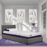 ICare Companion Bed-BED ONLY