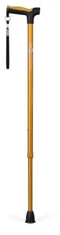 Hugo Derby Cane