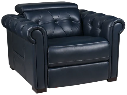 THEOREM Somerset Power Lift Recliner