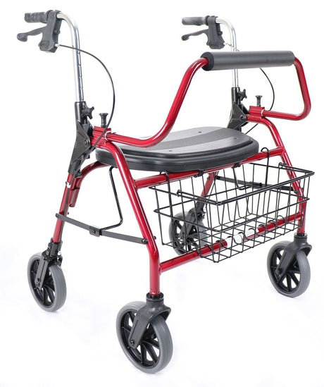 Galaxy Walker - Australian Assistive Technology Centre