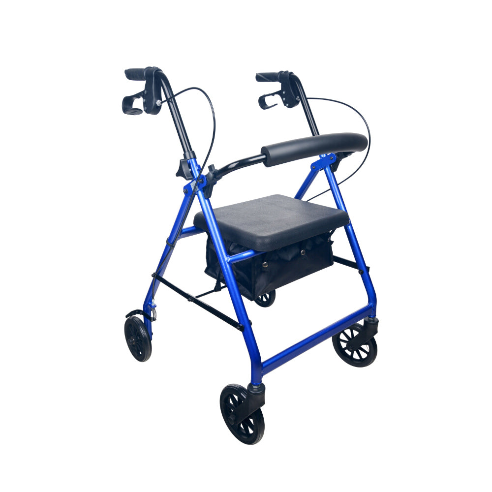 Territory Seat Walker - Australian Assistive Technology Centre