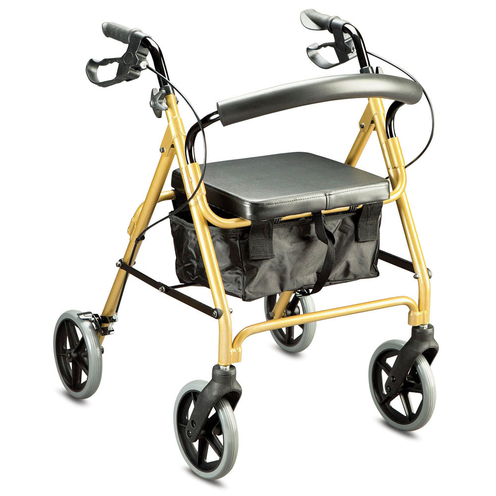 Trekker Seat Walker - Australian Assistive Technology Centre