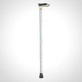 KCare T Handle Cane - Australian Assistive Technology Centre