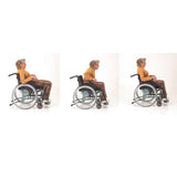 Immedia OneWayGlide Positioning Velour Pad